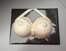 Feesttaarten - BH borstentaart