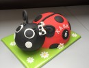 Kindertaarten - 3D Lieverheersbeestje Lady Bug taart